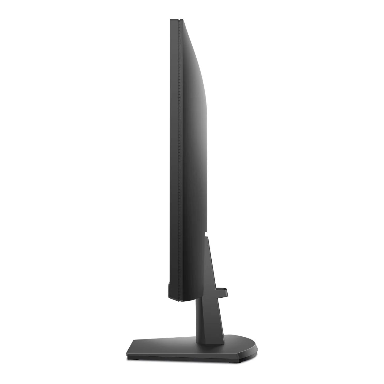 Dell 24 FHD Monitor | 23.8″ IPS | 100Hz | Everyday Productivity Display