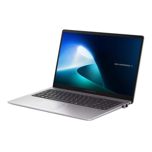 The ASUS ExpertBook P1 P1503CVA